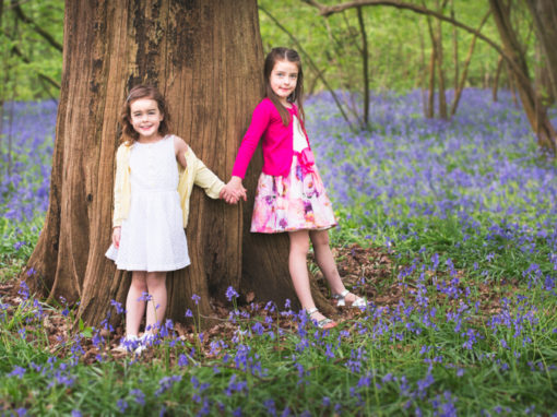 Bluebells photoshoot in Surrey